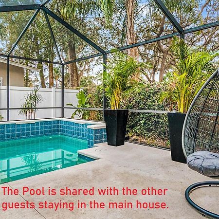 Modern House In Clearwater With Access To A Shared Swimming Pool Διαμέρισμα Safety Harbor Εξωτερικό φωτογραφία